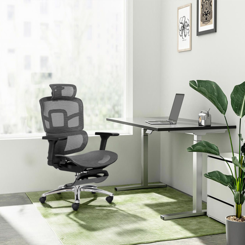 Ghế công thái học M1105 F