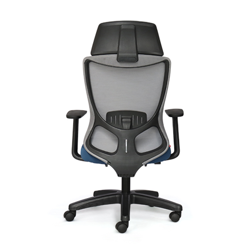 Ghế Công Thái Học M1106