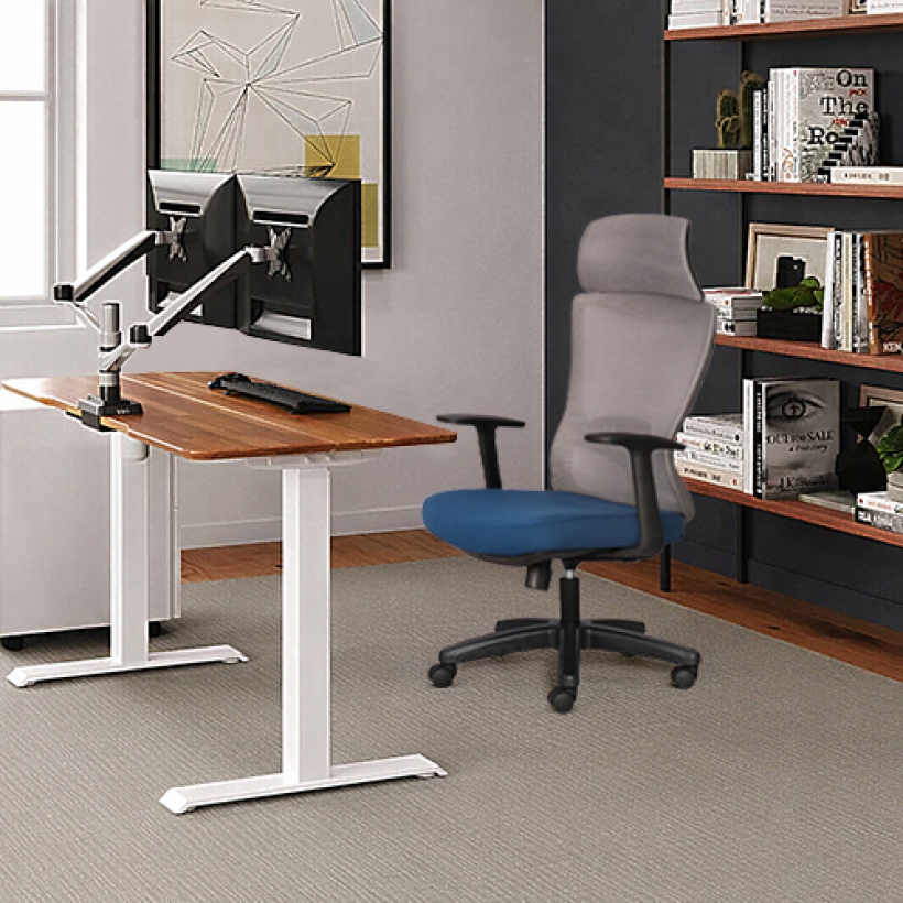 Ghế Công Thái Học M1106