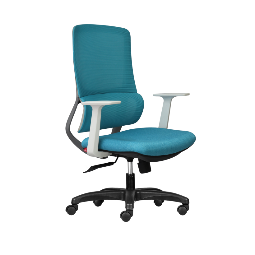 Ghế Công Thái Học M1111