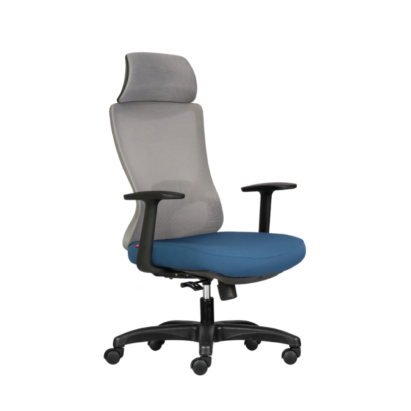 Ghế Công Thái Học M1106