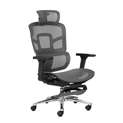 Ghế Công Thái Học M1105
