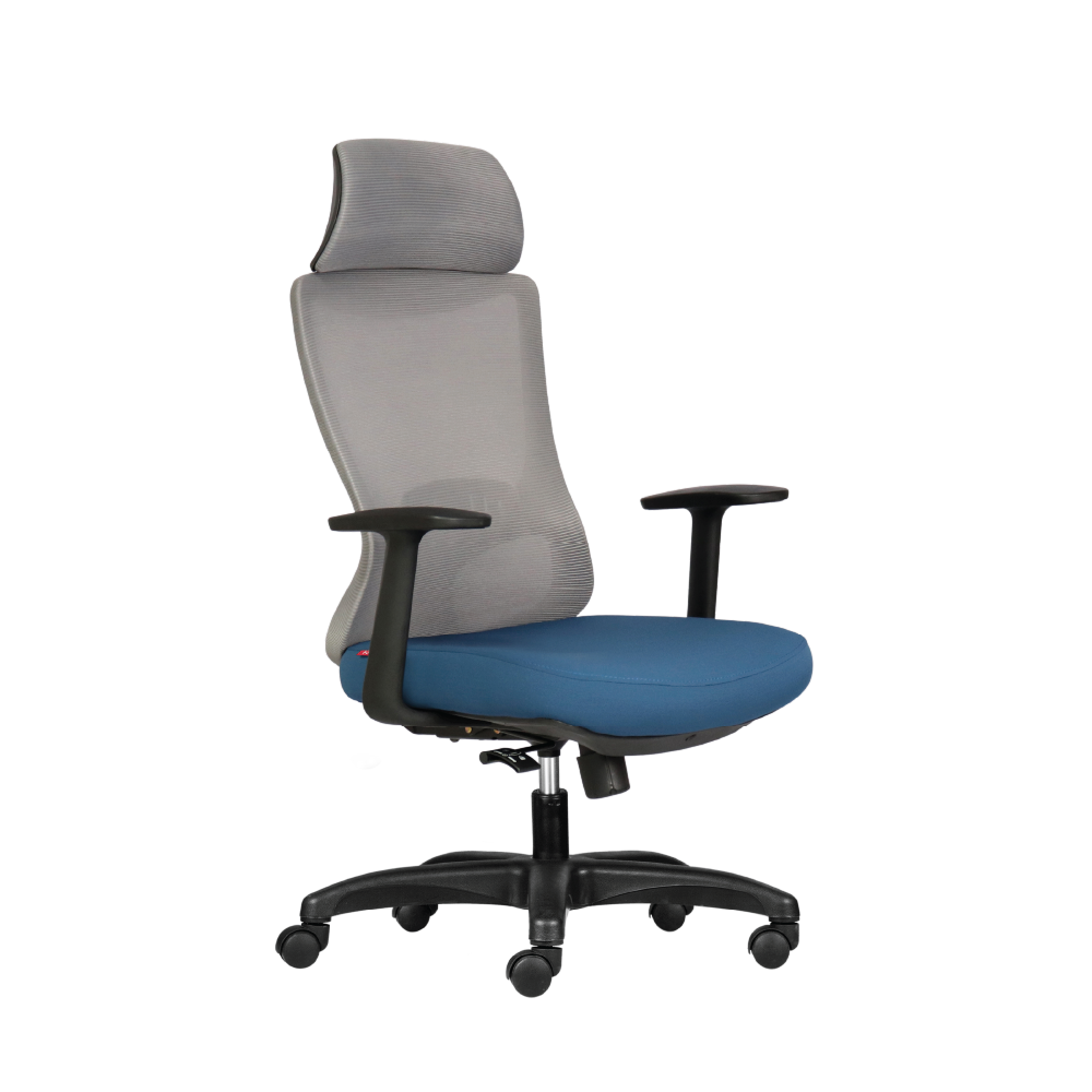 Ghế Công Thái Học M1106